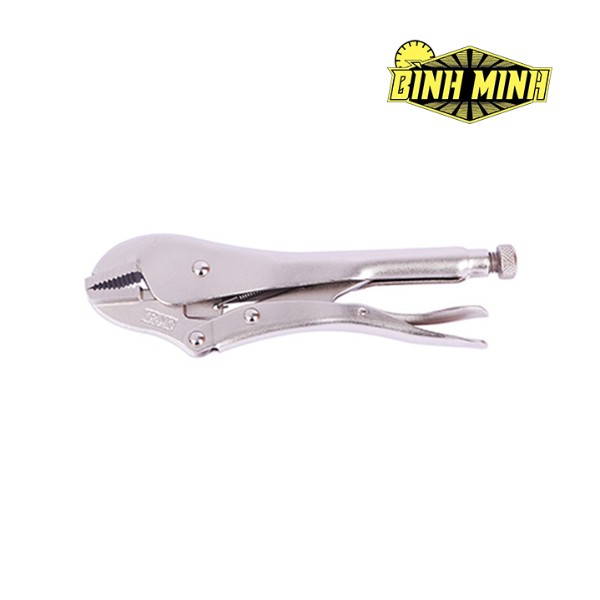 Kìm bấm chết mũi thẳng, kích thước 250mm (10 inch) Workpro - W031068